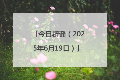 今日辟谣（2025年6月19日）