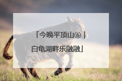 今晚平顶山⑥｜白龟湖畔乐融融