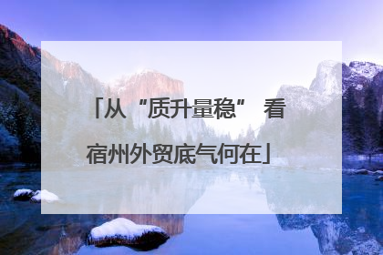 从“质升量稳” 看宿州外贸底气何在