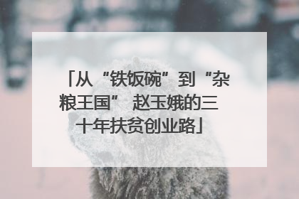 从“铁饭碗”到“杂粮王国” 赵玉娥的三十年扶贫创业路