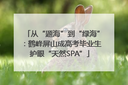 从“题海”到“绿海”：鹤峰屏山成高考毕业生护眼“天然SPA”