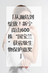 从濒危到绽放！新宁崀山600株“国宝兰”获省级生物保护嘉奖