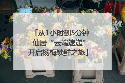 从1小时到5分钟 仙居“云端速递”开启杨梅锁鲜之旅