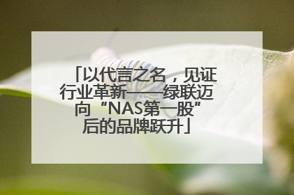 以代言之名，见证行业革新——绿联迈向“NAS第一股”后的品牌跃升