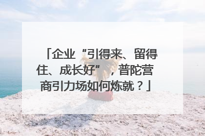 企业“引得来、留得住、成长好”，普陀营商引力场如何炼就？