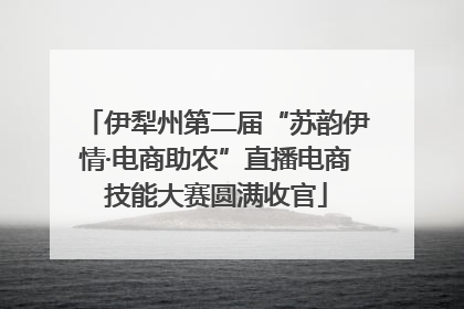 伊犁州第二届“苏韵伊情·电商助农”直播电商技能大赛圆满收官