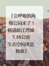 会呼吸的海绵公园来了！杨浦新江湾城7.35公顷生态空间改造焕新