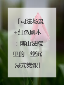 司法场景+红色剧本：博山法院里的一堂沉浸式党课
