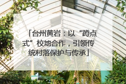 台州黄岩：以“蹲点式”校地合作，引领传统村落保护与传承