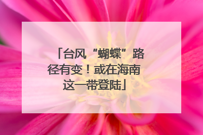 台风“蝴蝶”路径有变！或在海南这一带登陆