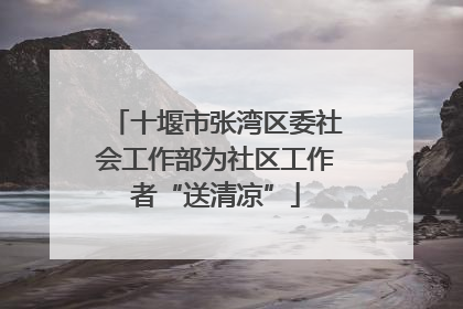 十堰市张湾区委社会工作部为社区工作者“送清凉”