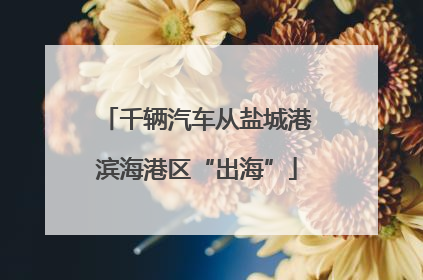千辆汽车从盐城港滨海港区“出海”