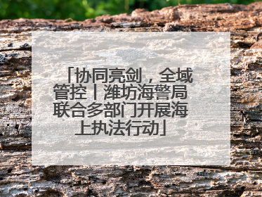 协同亮剑，全域管控丨潍坊海警局联合多部门开展海上执法行动