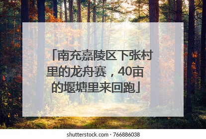 南充嘉陵区下张村里的龙舟赛，40亩的堰塘里来回跑