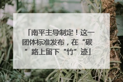 南平主导制定！这一团体标准发布，在“碳”路上留下“竹”迹