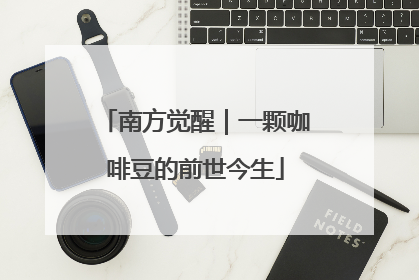 南方觉醒｜一颗咖啡豆的前世今生