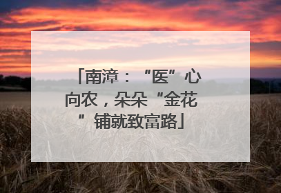 南漳：“医”心向农，朵朵“金花”铺就致富路