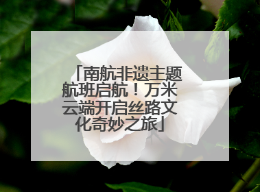 南航非遗主题航班启航！万米云端开启丝路文化奇妙之旅