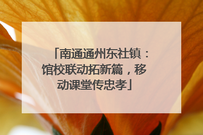 南通通州东社镇：馆校联动拓新篇，移动课堂传忠孝