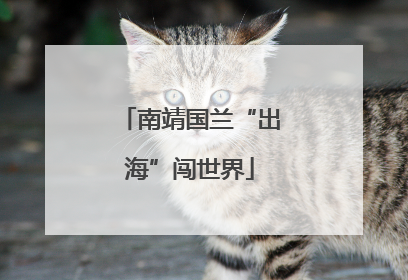 南靖国兰“出海”闯世界
