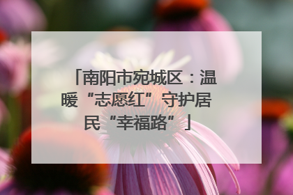 南阳市宛城区：温暖“志愿红”守护居民“幸福路”