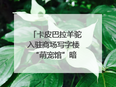 卡皮巴拉羊驼入驻商场写字楼 “萌宠馆”暗藏哪些隐患？