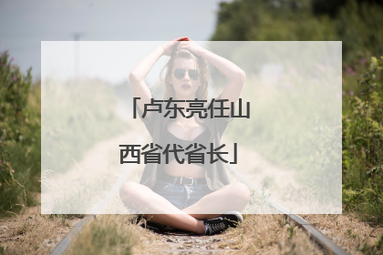 卢东亮任山西省代省长