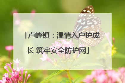 卢峰镇：温情入户护成长 筑牢安全防护网