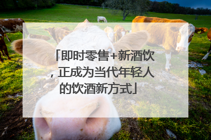 即时零售+新酒饮，正成为当代年轻人的饮酒新方式
