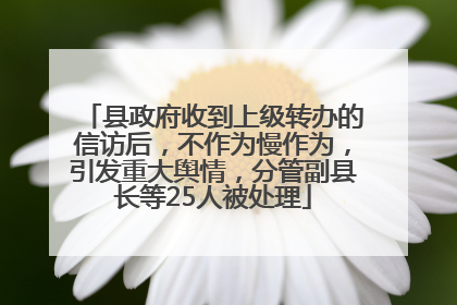 县政府收到上级转办的信访后，不作为慢作为，引发重大舆情，分管副县长等25人被处理