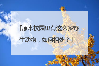 原来校园里有这么多野生动物，如何相处？