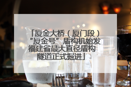 厦金大桥（厦门段）“厦金号”盾构机始发 福建省最大直径盾构隧道正式掘进