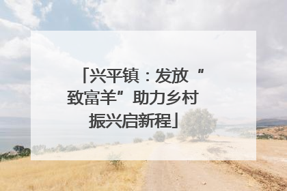 兴平镇：发放“致富羊”助力乡村振兴启新程