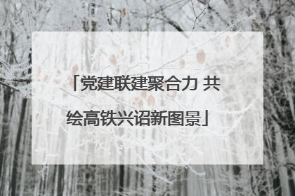 党建联建聚合力 共绘高铁兴诏新图景