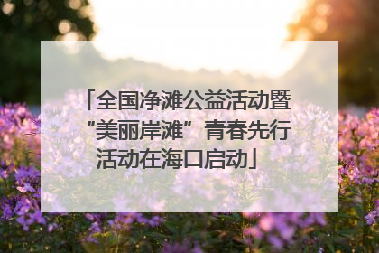 全国净滩公益活动暨“美丽岸滩”青春先行活动在海口启动