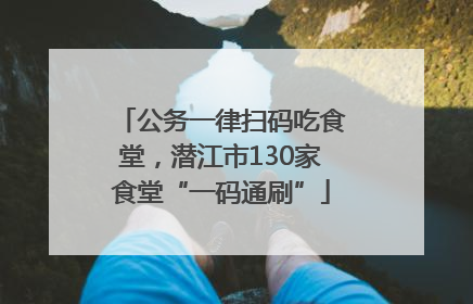 公务一律扫码吃食堂，潜江市130家食堂“一码通刷”