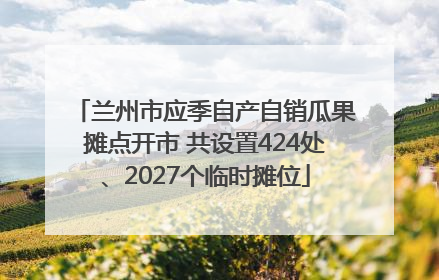 兰州市应季自产自销瓜果摊点开市 共设置424处、2027个临时摊位