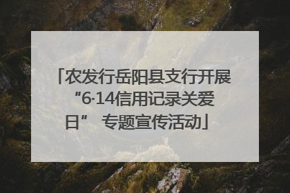 农发行岳阳县支行开展“6·14信用记录关爱日” 专题宣传活动