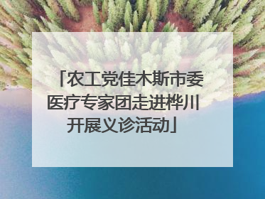 农工党佳木斯市委医疗专家团走进桦川开展义诊活动