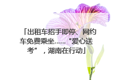 出租车招手即停、网约车免费乘坐……“爱心送考”，湖南在行动