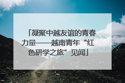 凝聚中越友谊的青春力量——越南青年“红色研学之旅”见闻