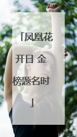 凤凰花开日 金榜题名时