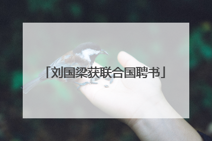 刘国梁获联合国聘书