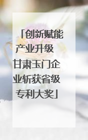 创新赋能产业升级 甘肃玉门企业斩获省级专利大奖