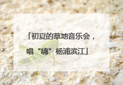 初夏的草地音乐会，唱“嗨”杨浦滨江