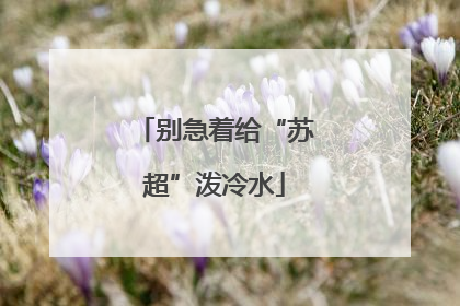 别急着给“苏超”泼冷水