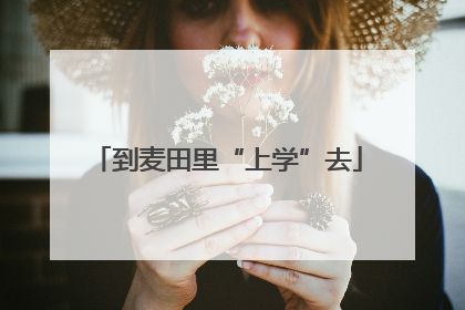到麦田里“上学”去