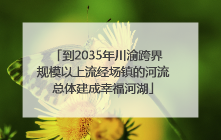 到2035年川渝跨界规模以上流经场镇的河流总体建成幸福河湖