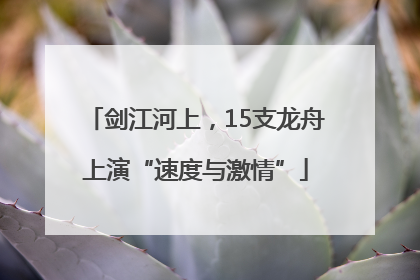 剑江河上，15支龙舟上演“速度与激情”