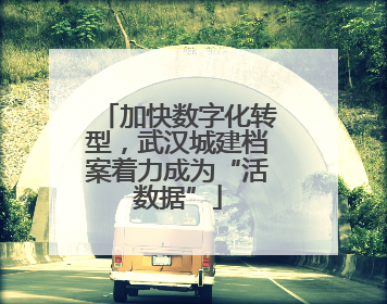 加快数字化转型，武汉城建档案着力成为“活数据”